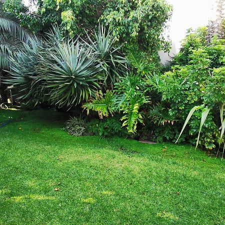 Mulberry Gardens Self Catering Lägenhet Swakopmund Exteriör bild